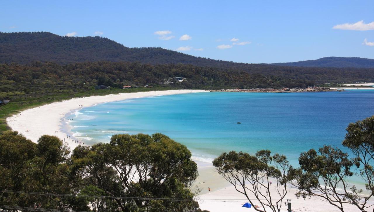 Sea Eagle Cottage Amazing Views Of Bay Of Fires Binalong Bay Buitenkant foto