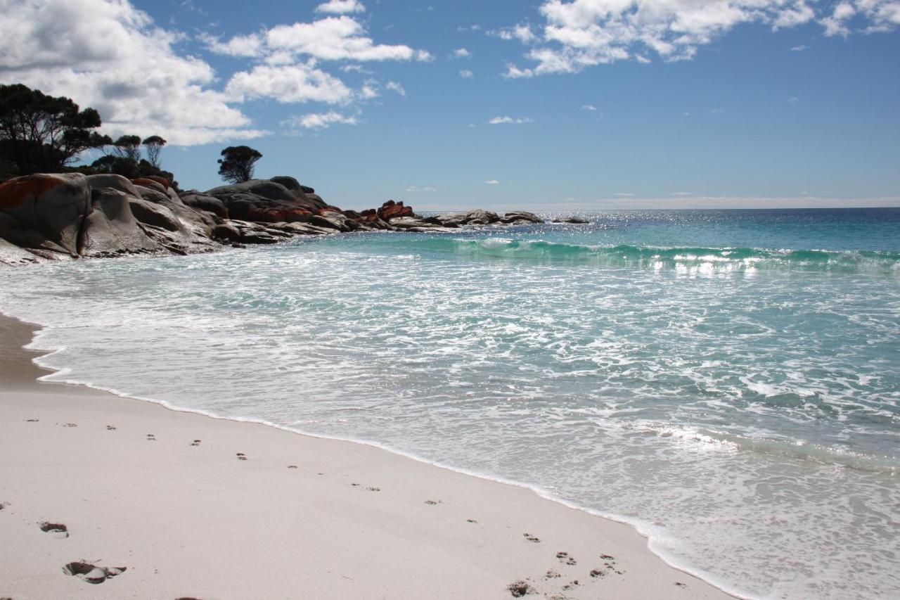 Sea Eagle Cottage Amazing Views Of Bay Of Fires Binalong Bay Buitenkant foto